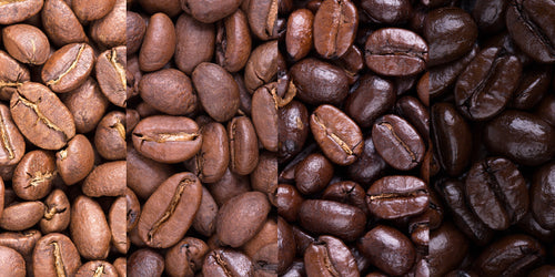 A Torke Expert's Guide to Roast Types