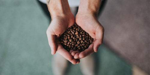Celebrating National Coffee Day: A History of the Bean